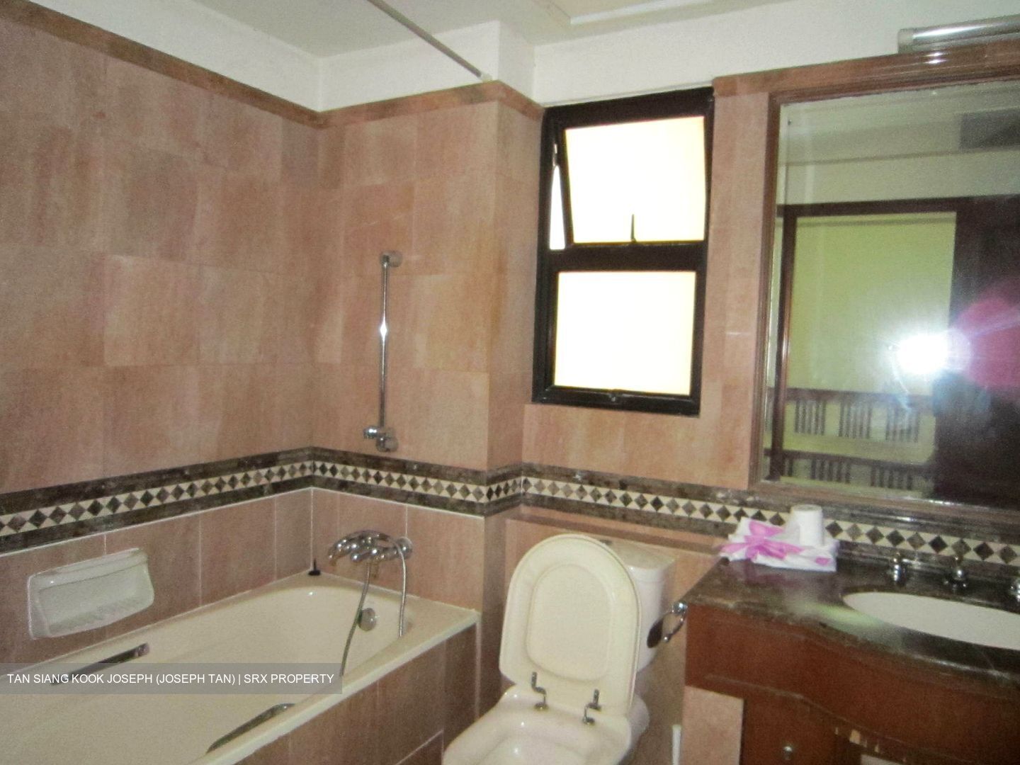 Dover Parkview (D5), Condominium #624578281